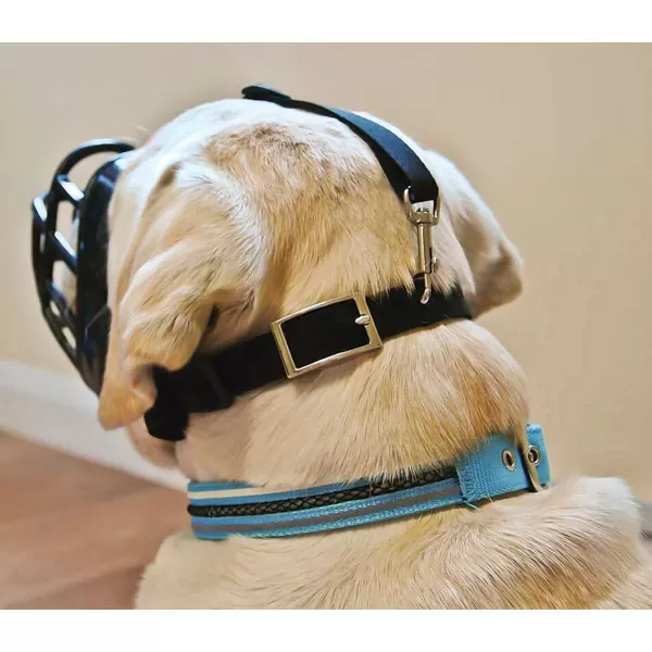 Outlet Baskerville Ultra Muzzle Size 1 Border Terrier Muzzles & Handling Products