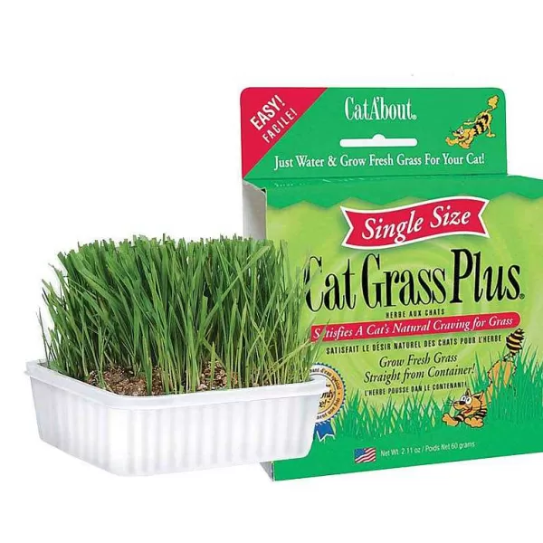 Online Cat Grass Plus - Grow Grass In 1 Week (Single Size) Cat Toys & Treats