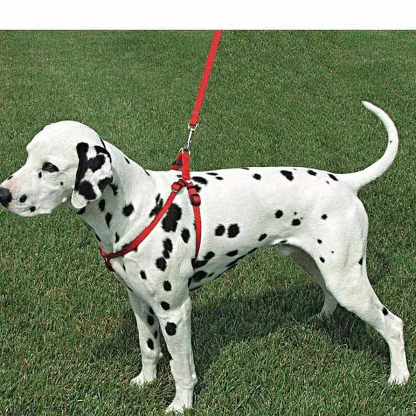 coastal_comfort_wrap_adjustable_harness_small_58_by_1624_4.webp Outlet Coastal Comfort Wrap Adjustable Harness Small 5/8" By 16-24" Harnesses