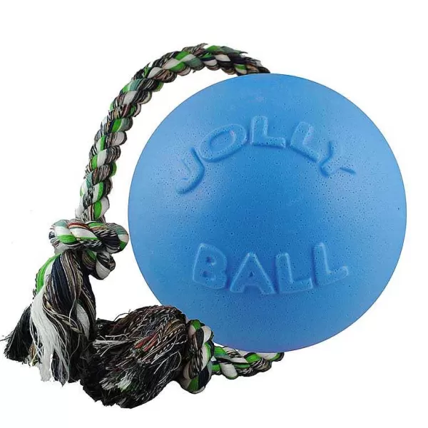Cheap Jolly Pet Romp-N-Roll Blueberry Large Dog Toys