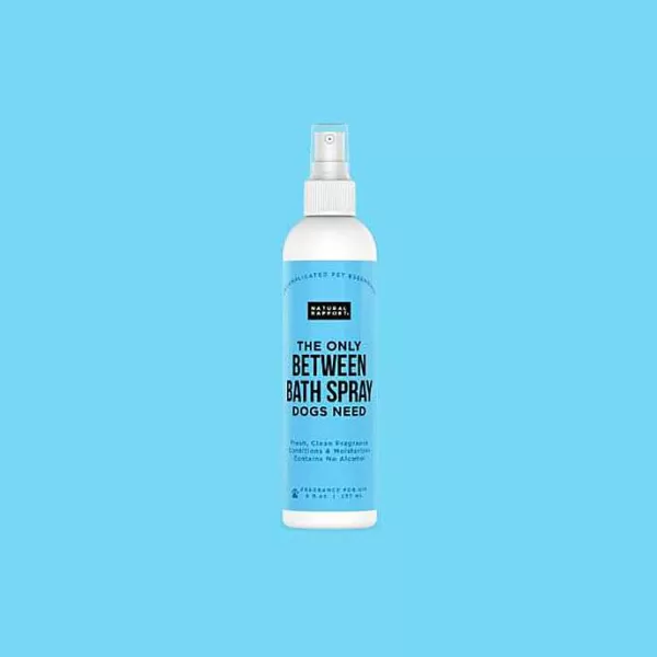 Flash Sale Natural Rapport The Only Between Bath Sprays Dogs Need Grooming Sprays