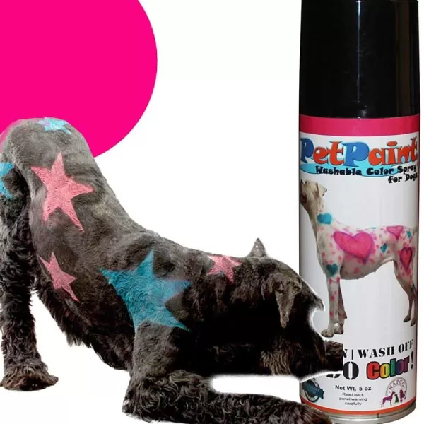 Hot Petpaint Poodle Pink Colored Fur Spray 5 Oz Creative Grooming